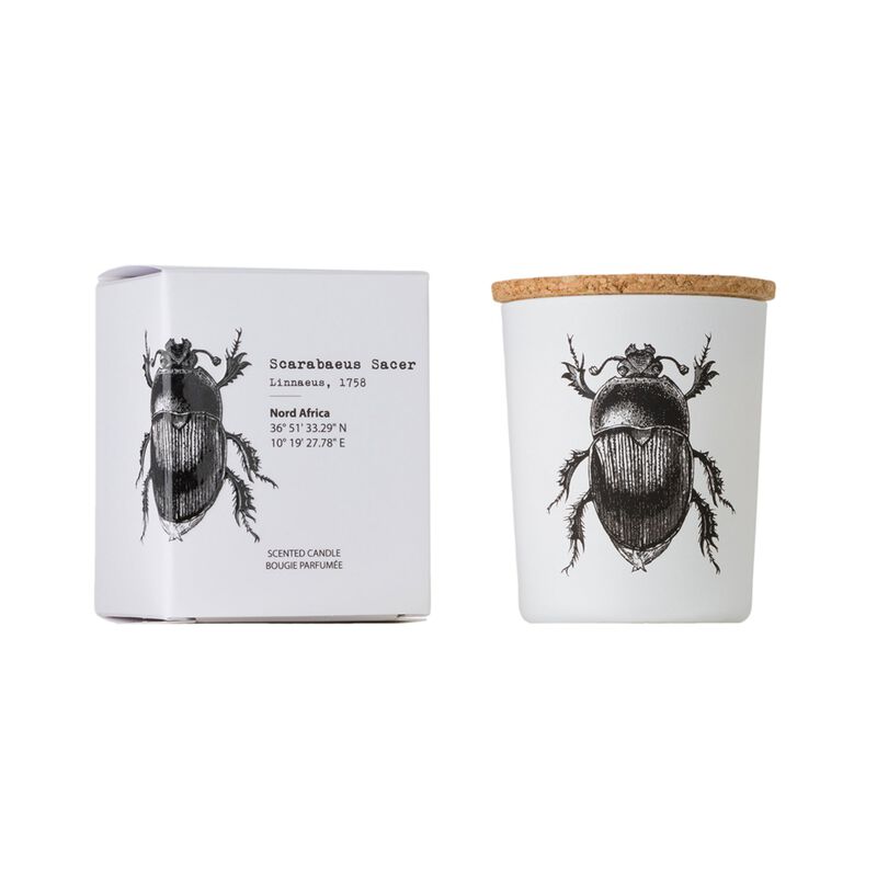 Candle in Jar INSECT 75gr SCARABEUS SACER 2.36 diam. x 2.95 in image number 0