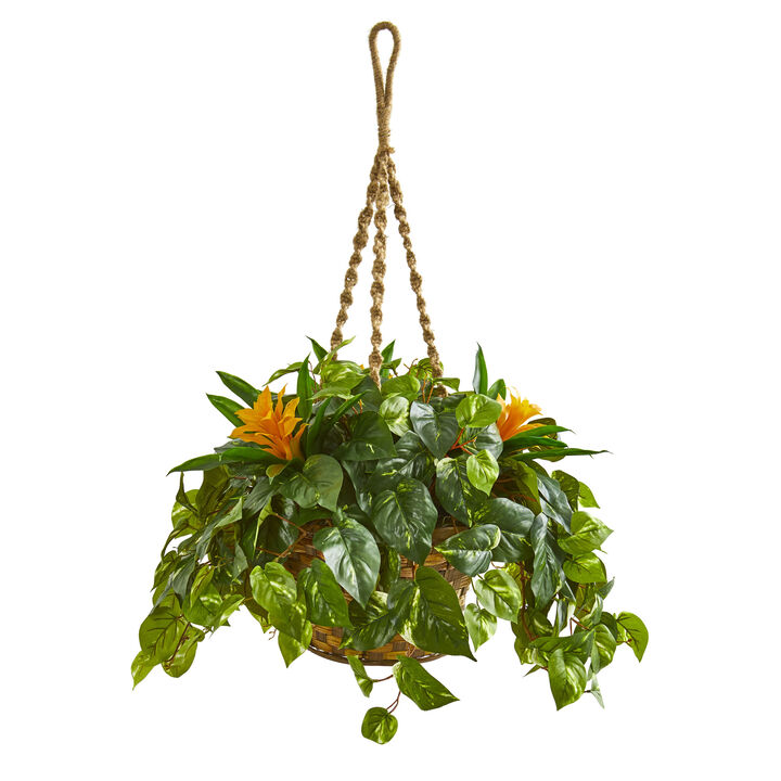 HomPlanti 31" Bromeliad & Pothos Artificial Plant in Hanging Basket