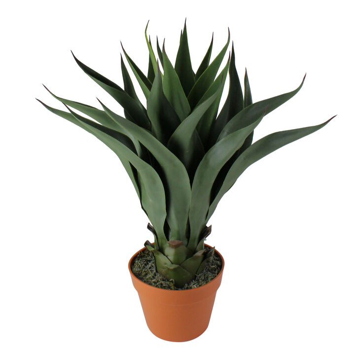 23.5" Potted Green Agave Americana Artificial Succulent Plant