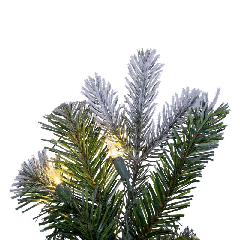 Vickerman 30" Frosted Douglas Fir Artificial Pre-Lit Wreath with Warm White LED Mini Lights. image number 1