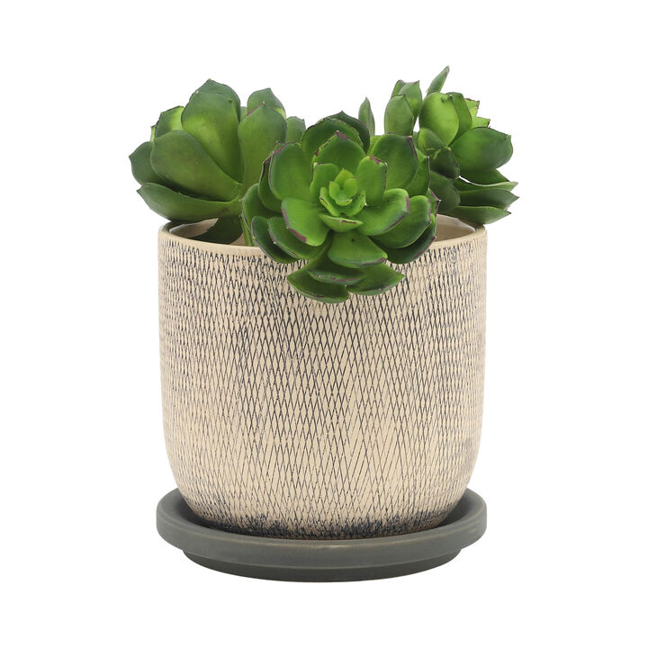 Mesh Planter with Saucer
