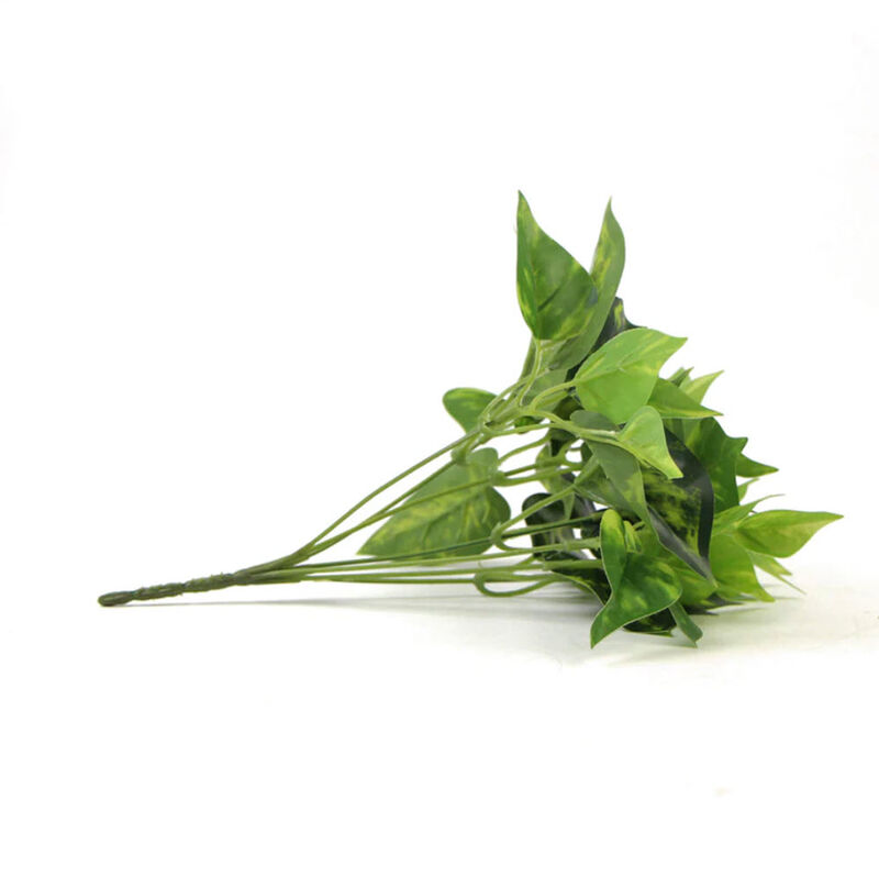 Artificial Pothos / Devil's Ivy Bush 9.5 image number 5