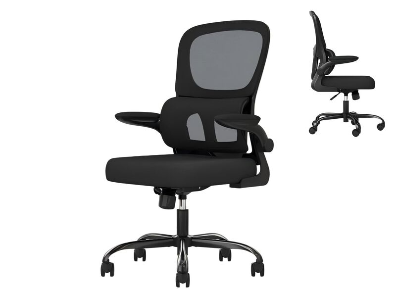 Petrimins Layered-Back Office Chair with Lumbar Support, Adjustable Height, Back Pain Friendly Task Chair with Flip-Up Armrests for Home, Office image number 0