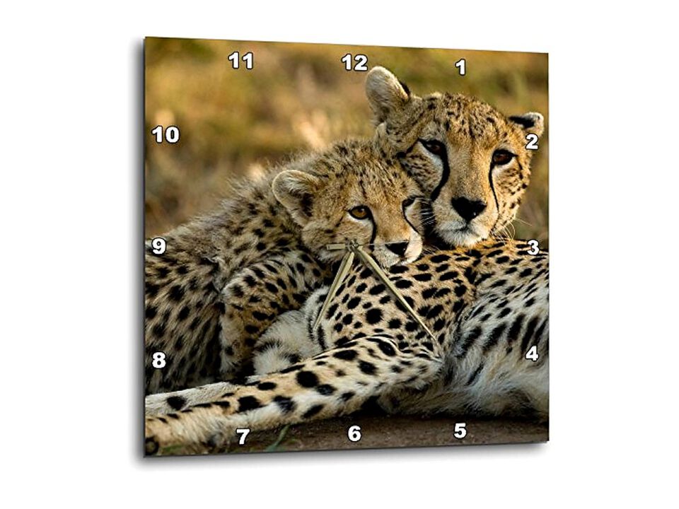 Cheetah Cub Masai Mara Kenya Joe Wall Clock 13 Inch Home Decor