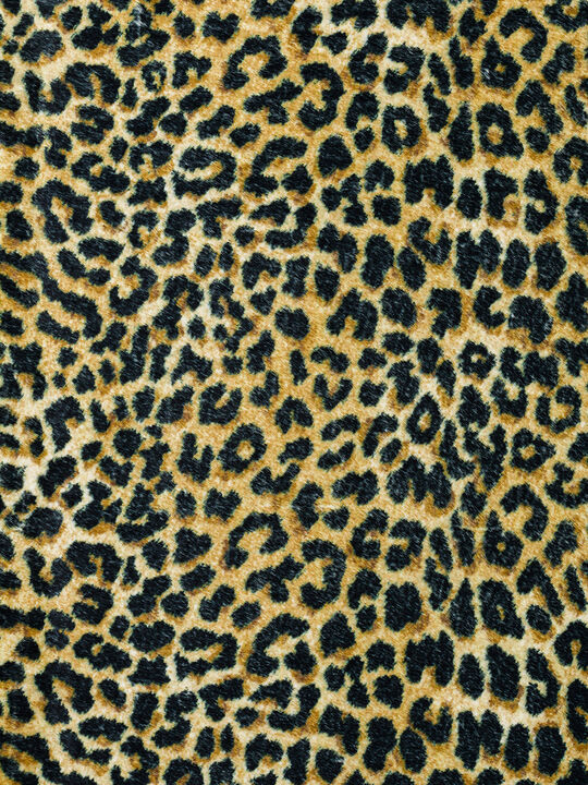 Akina AK2 Gold 20" x 30" Rug