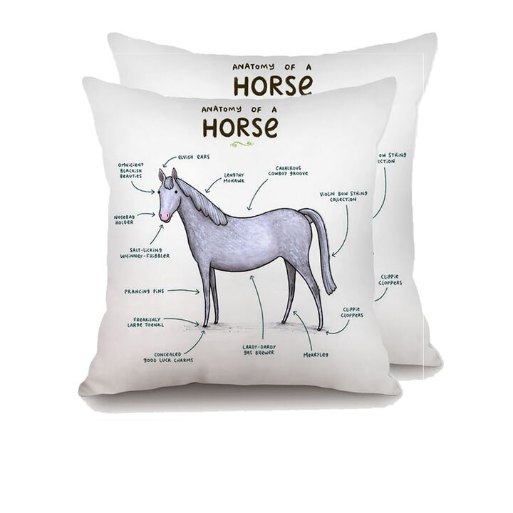 Farmhouse animals throw pillow - set of 2