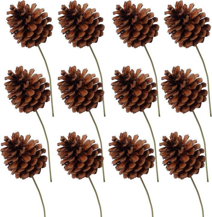 2.5" LACQUERED PINE CONE PICK-12 Pieces