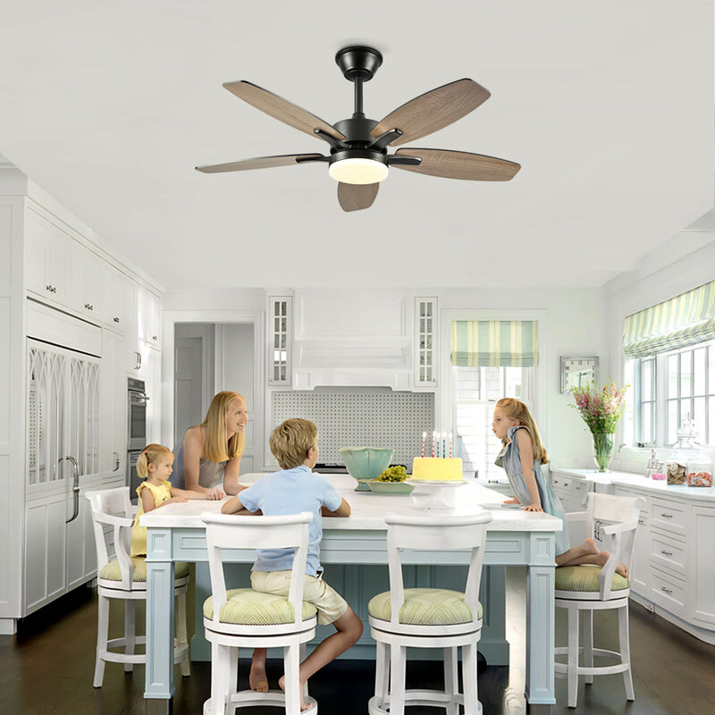 ELEMENT ACE 42 Inch 5 Plywood Blades Ceiling Fan with Lights and Remote Control, Quiet DC Motor 6 Speed Levels Reversible Fan for Indoor Living Room Bedroom Office Patio image number 7