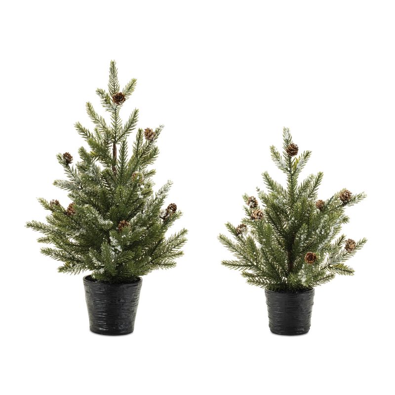 Set of 2 Potted Mini Pine Trees for Holiday Tabletop, Mantel, or Entryway Display