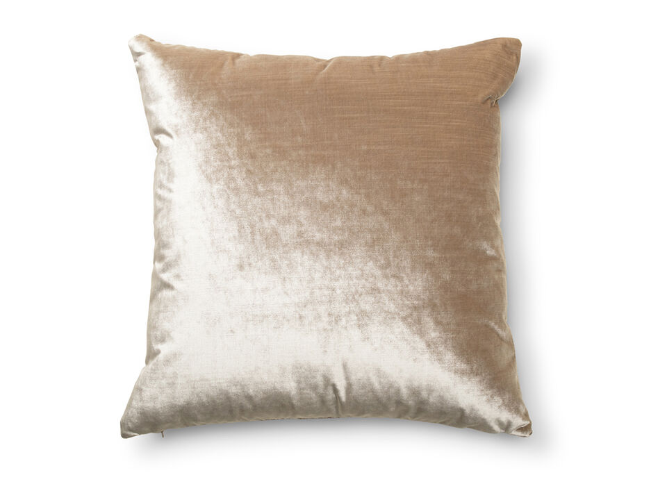 Daring Champagne Accent Pillow