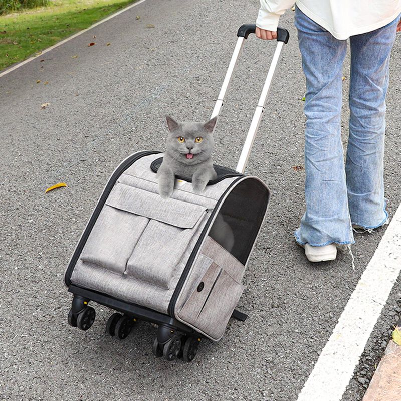 Wheeled Pet Travel Carrier for Small Dogs or Cats, Removable Wheels, Airline Ready