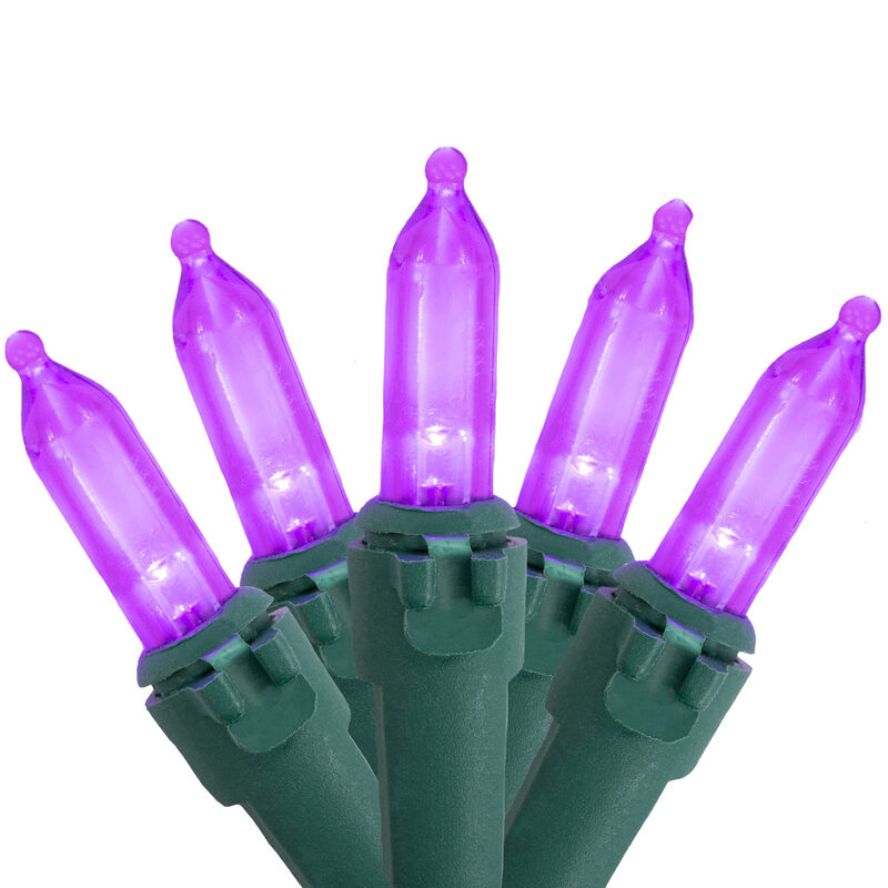 50ct Purple LED Mini Christmas Lights  16.25ft Green Wire image number 0