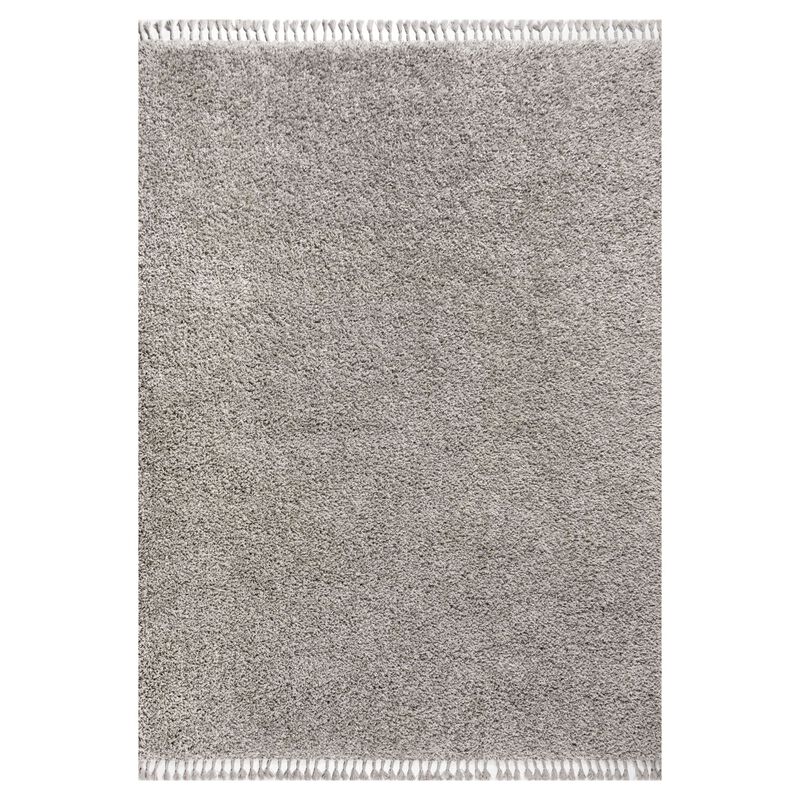 Mercer Shag Plush Tassel Area Rug