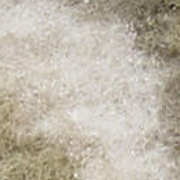 HomeRoots Medallion Distressed Runner Rug