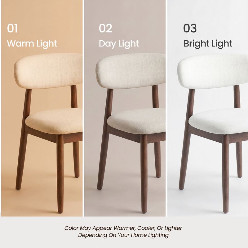COLAMY NOYA Mid-Century Modern Upholstered Dining Chair Set of 2 image number 4