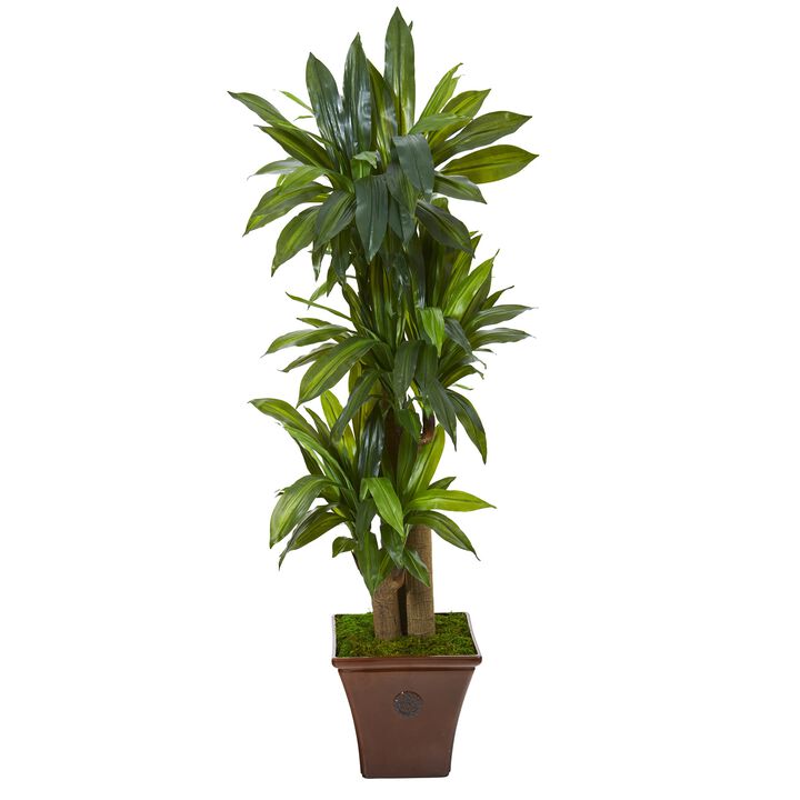 HomPlanti 57" Corn Stalk Dracaena Artificial Plant in Brown Planter (Real Touch)