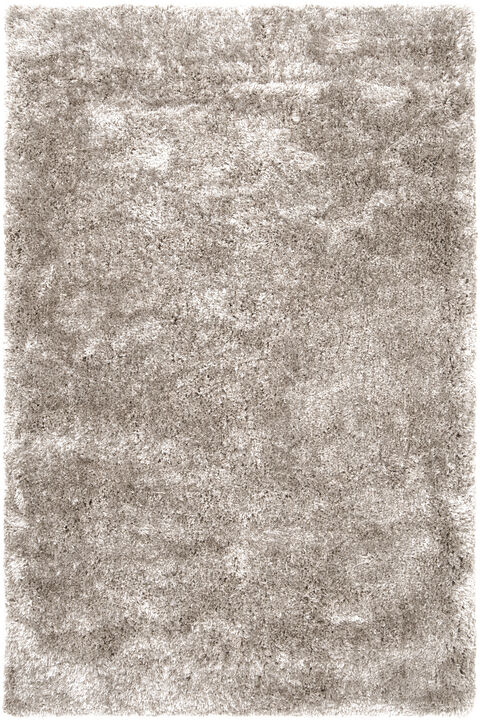 Grizzly GRIZZLY-9 6' x 9' Gray Rug