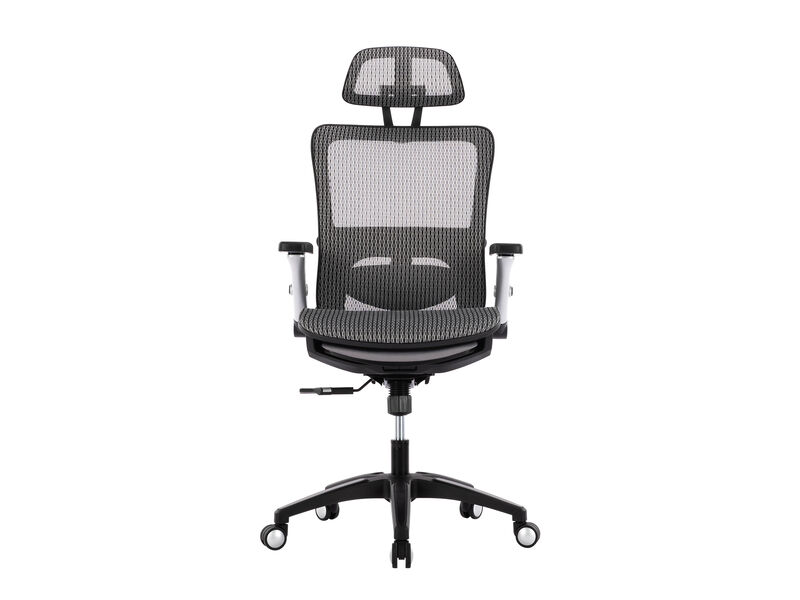High Back Mesh Office Chair With Footrest, Adjustable Headrest, Lumbar Support And 4D Armrests