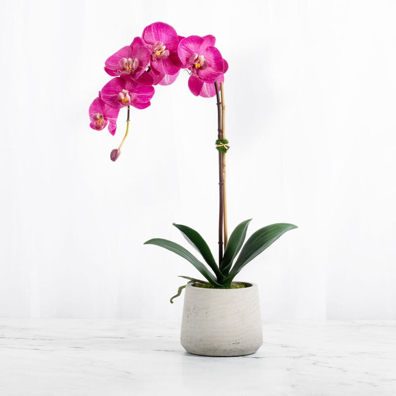 Real Touch Orchid Plant Pink Orchid in Beige Pot