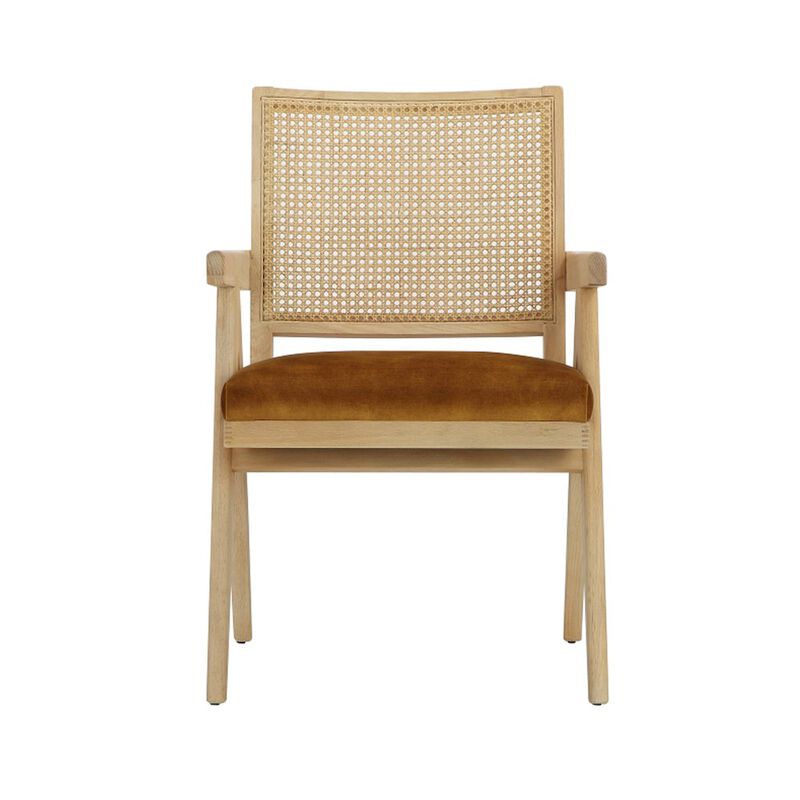 Pangea Home Lev Armchairs Velvet Gold