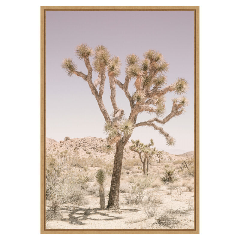 Joshua Tree by Shot by Clint Framed Canvas Wall Art image number 0