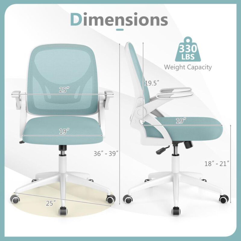 Hivvago Ergonomic Computer Desk Chair with Lumbar Support and Flip-up Arms