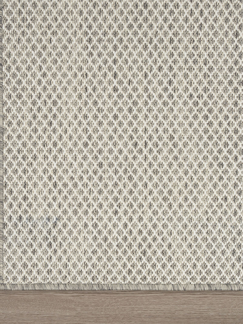 Courtyard COU01 Ivory/Silver 4' x 6' Rug