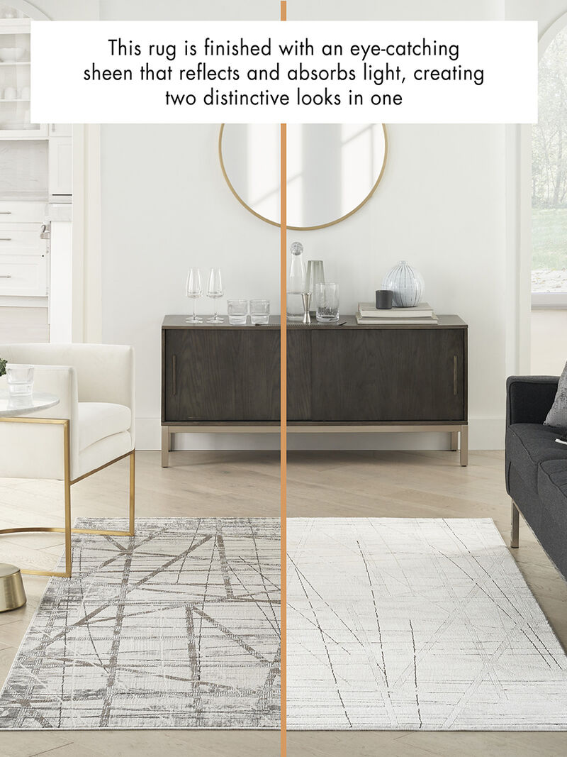 Desire DSR03 Gray/Silver 3'11" x 5'11" Rug