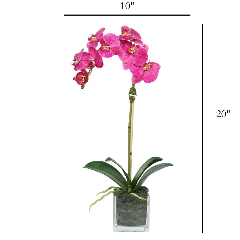 Faux Orchid Plant in Square Vase - 20" image number 3