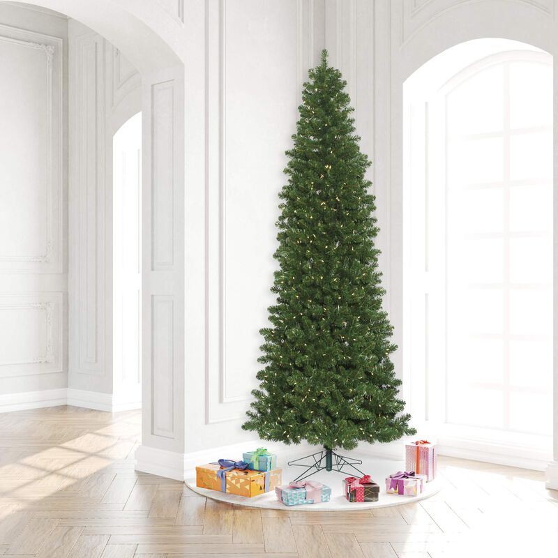 Vickerman 8.5' Oregon Fir Slim Artificial Christmas Tree, Wide Angle Single Mold Warm White LED Lights, Faux Christmas Tree, Seasonal Indoor Home Decor image number 6