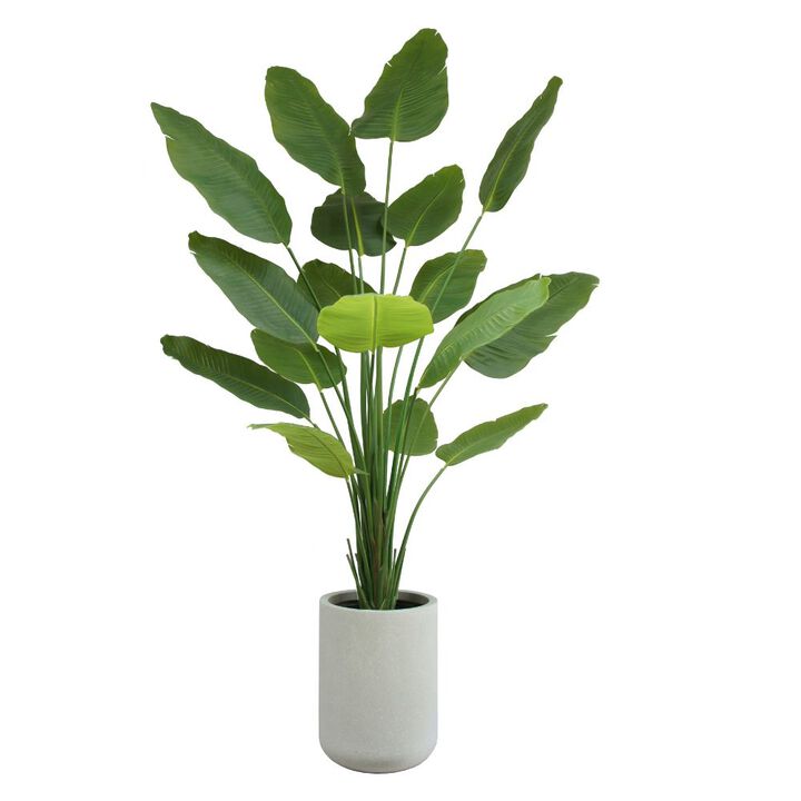 8' Bird of Paradise Tree in Modern Gray Planter