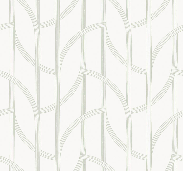 Salvo Green Curved Contours Wallpaper