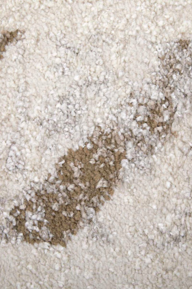 Vancouver 39NQF Beige/Brown 10' x 14' Rug image number 6