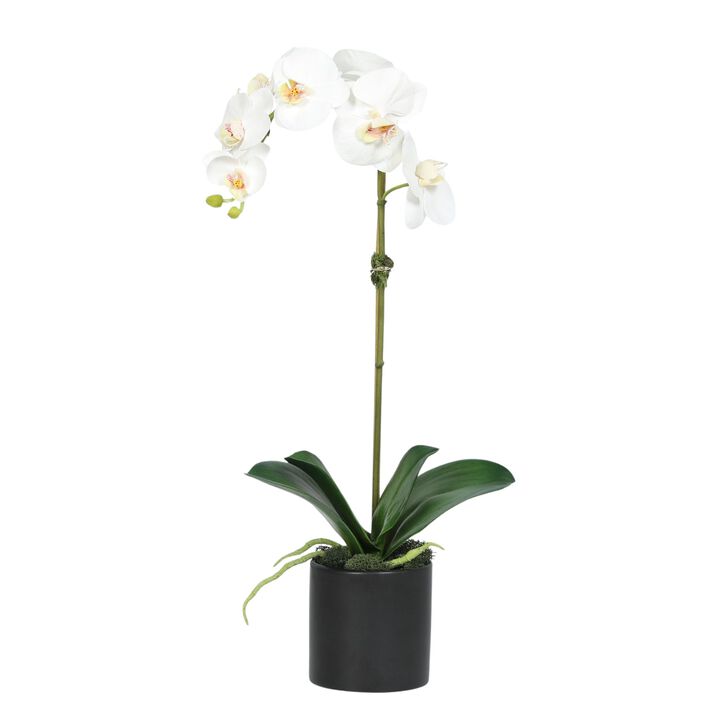 Artificial Orchid Plant in Vase - 20"