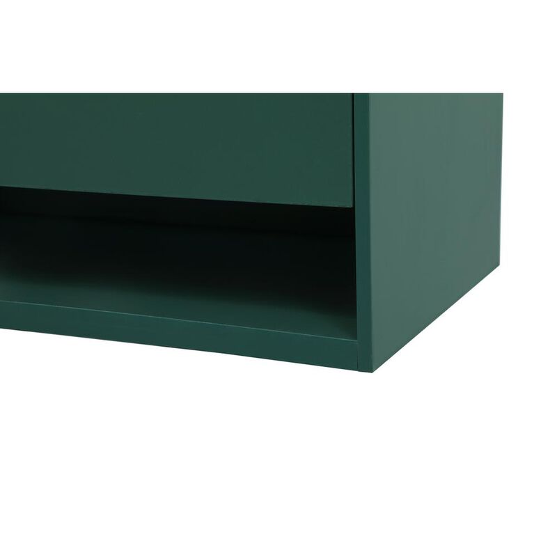 Elegant Kitchen and Bath 40 inch Single bathroom vanity in green