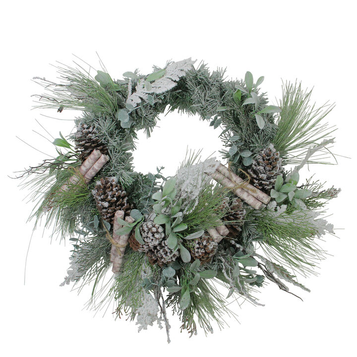 24” Artificial Frosted Pine  Birch Scrolls and Pine Cone Christmas Wreath - Unlit