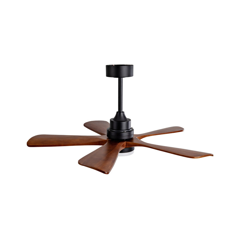ELEMENT ACE Modern Outdoor Ceiling Fan with Integrated LED Lighting and Remote Control for Energy-Efficient Air Circulation image number 4