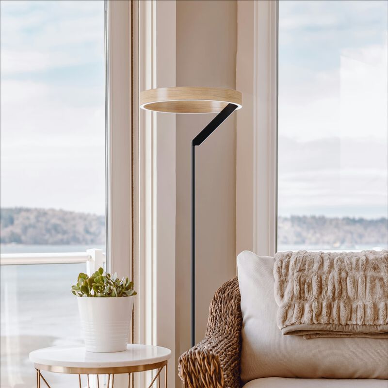 Modern 24W LED Floor Lamp 63 in. - 2700K Warm Light- Angled Design in Matte Black