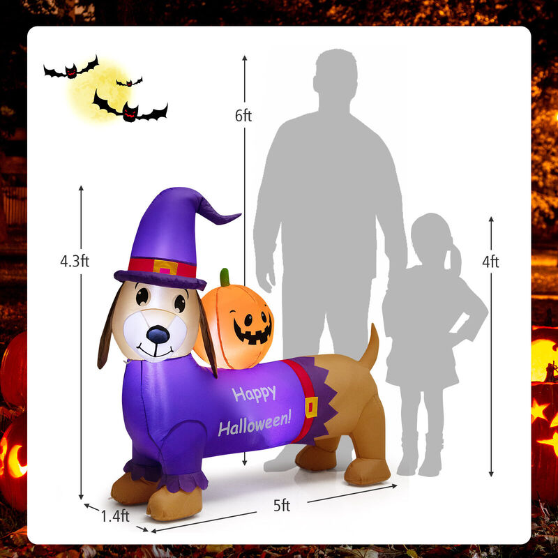 5 Feet Long Halloween Inflatable Dachshund Dog with Pumpkin image number 3