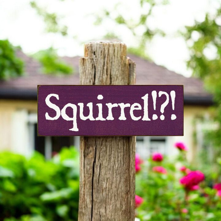 Squirrel Wood Sign Rustic Farmhouse Wall Decor for Living Room, Cabin or Entryway
