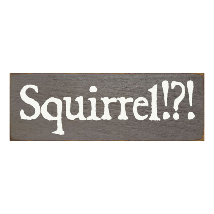 Squirrel Wood Sign Rustic Farmhouse Wall Decor for Living Room, Cabin or Entryway