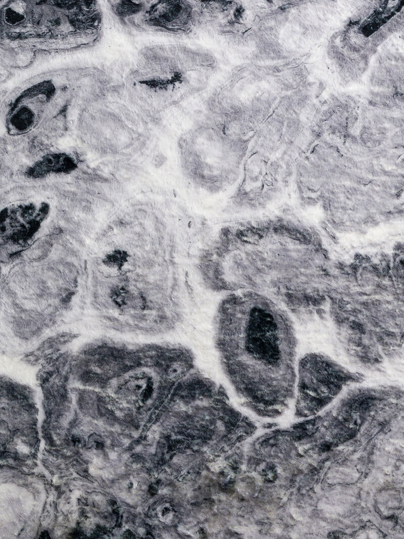 Kikiamo KK14 Collection