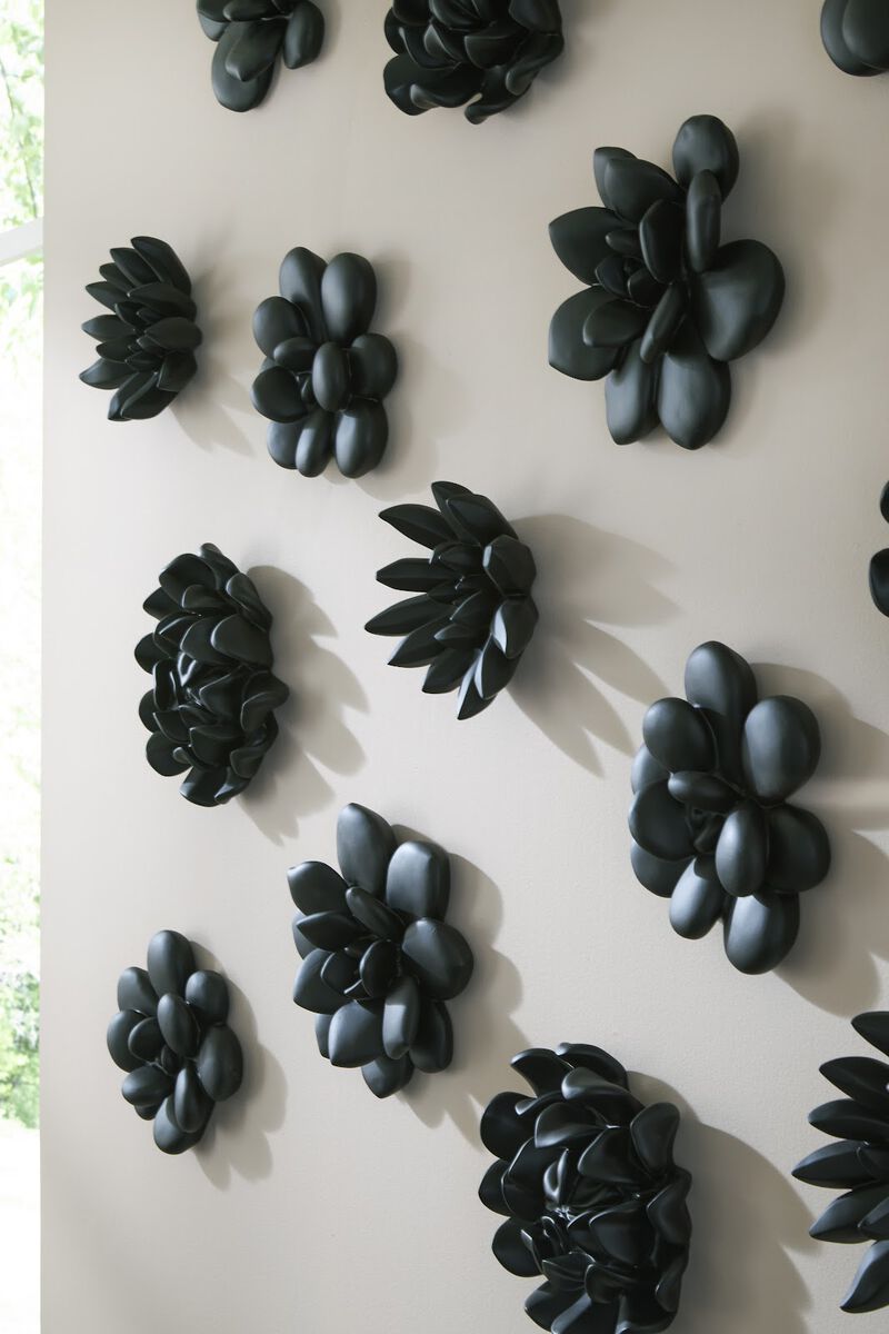 Compactum Succulent Wall Art on Matte Black