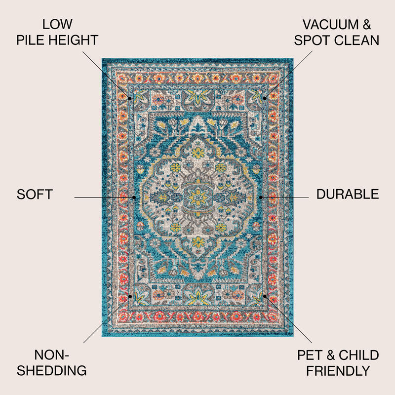 Kristina Bohemian Flair Boho Vintage Medallion Area Rug