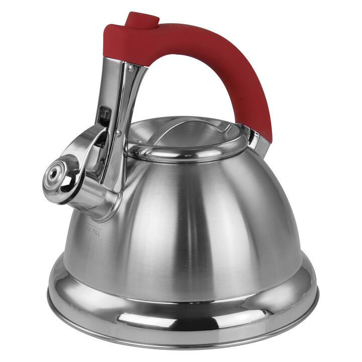 Mr. Coffee 1.8 quart Stainless Steel Whistling Tea Kettle