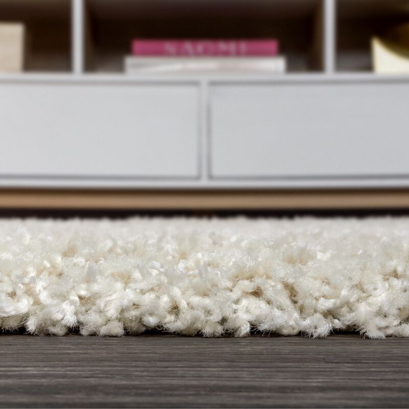 Mercer Shag Plush Tassel Area Rug