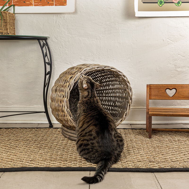 Socket Dome Bohemian Handwoven Rattan Cat Bed with Machine-Washable Cushion