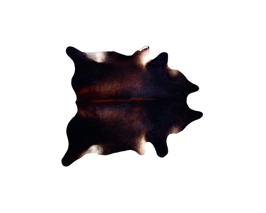 HomeRoots 5' X 7' Black And Dark Brown Cowhide Area Rug