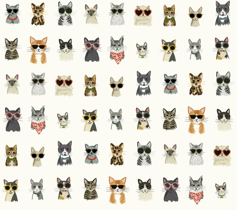 Cool Cats Multi White Peel & Stick Wallpaper