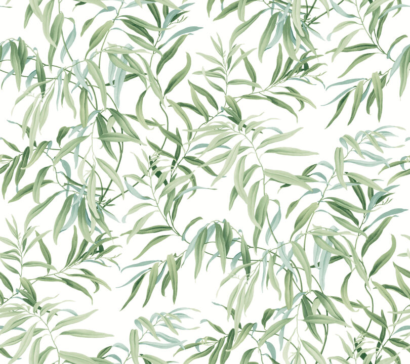 Willow Grove Forest Wallpaper